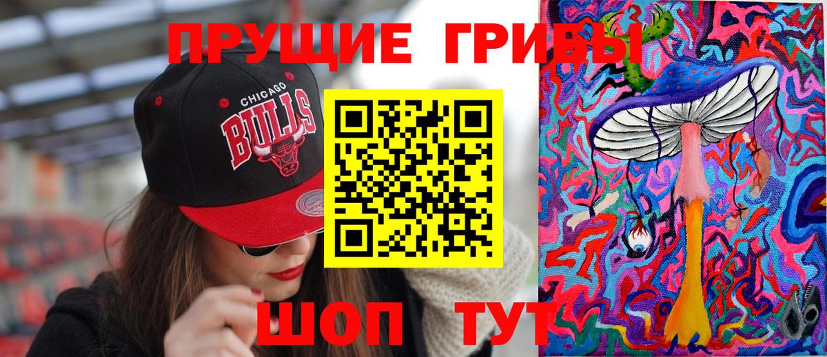 Галлюциногенные грибы Cubensis  Вход с VPN  купить  сайты  Дзержинск 