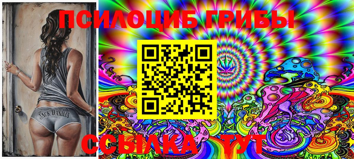 Галлюциногенные грибы Cubensis Дзержинск